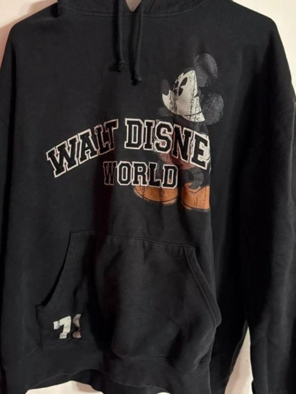 Disney World Mickey Mouse Hoodie